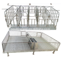 Atacado Best Quality Used Farrowing Crate For Pigs